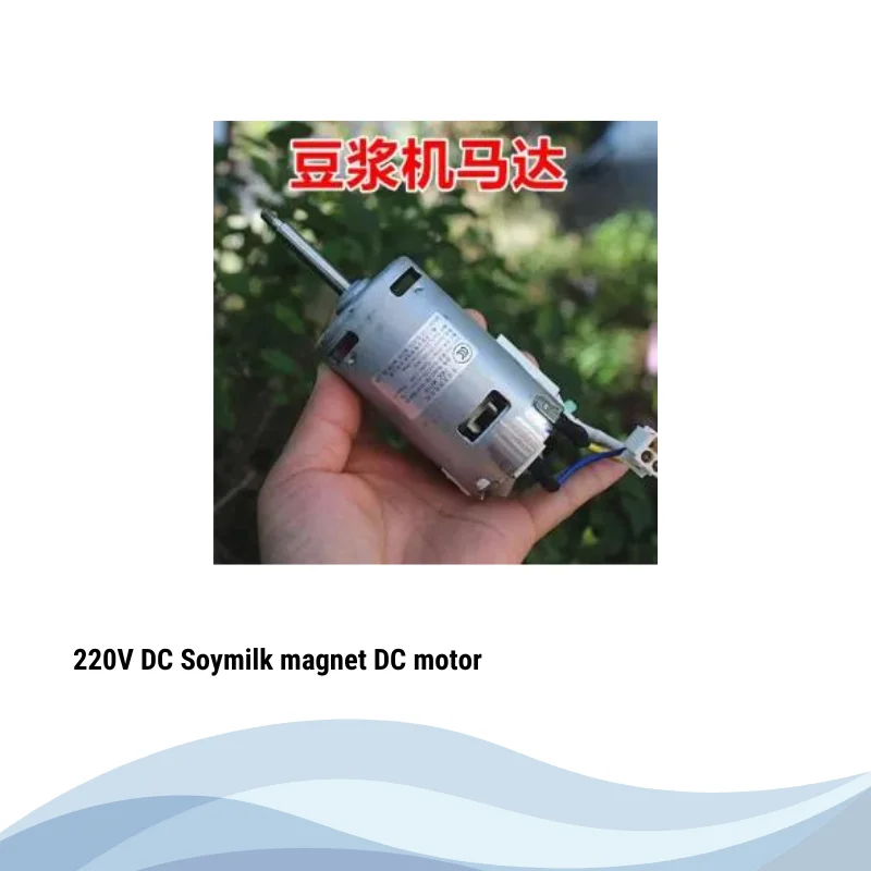 220V DC Soymilk permanent magnet DC motor
